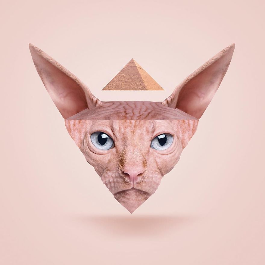 Artist Makes Incredible Manipulations That Will Surely Fiddle With Your Head