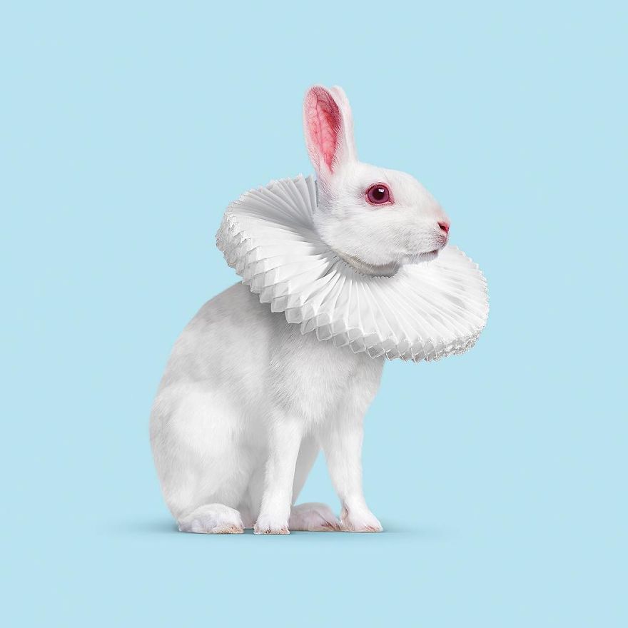 Artist Makes Incredible Manipulations That Will Surely Fiddle With Your Head