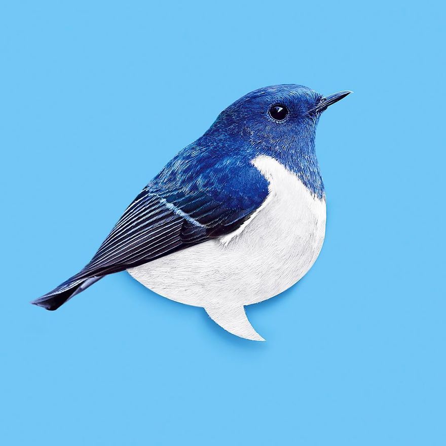 Artist Makes Incredible Manipulations That Will Surely Fiddle With Your Head