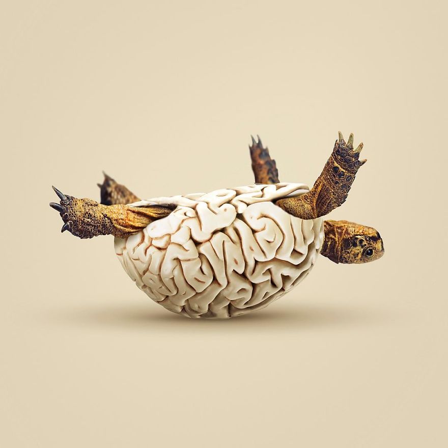 Artist Makes Incredible Manipulations That Will Surely Fiddle With Your Head