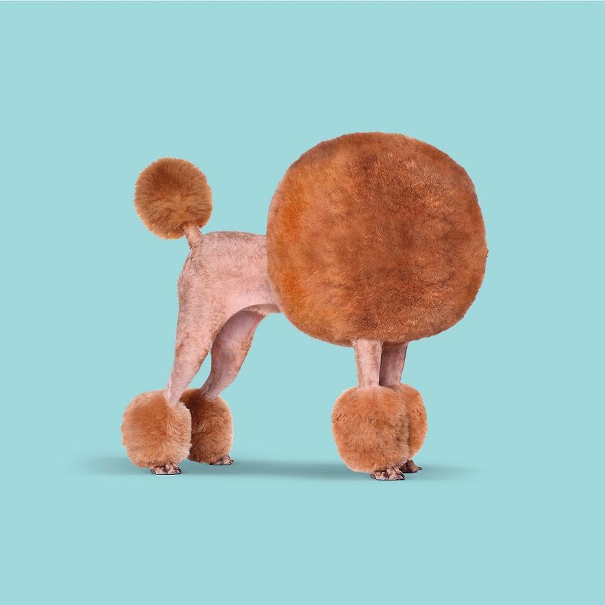 Artist Makes Incredible Manipulations That Will Surely Fiddle With Your Head