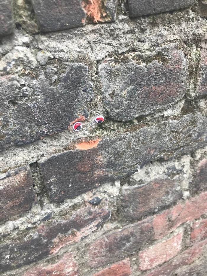 We Googly-Eyed Milan