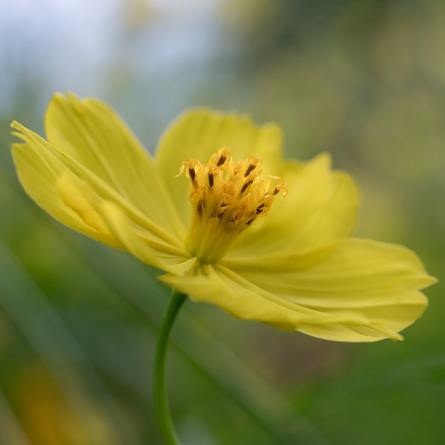 I Capture Seasonal Changes In Japanese Nature