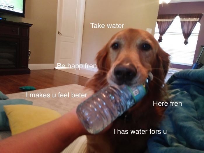 I Made These Pictures With The Sweet Dog Post And I Hope They'll Brighten Your Day