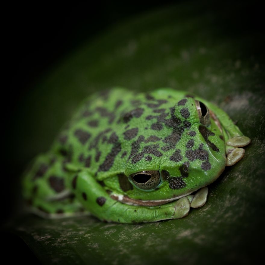 I Capture Seasonal Changes In Japanese Nature