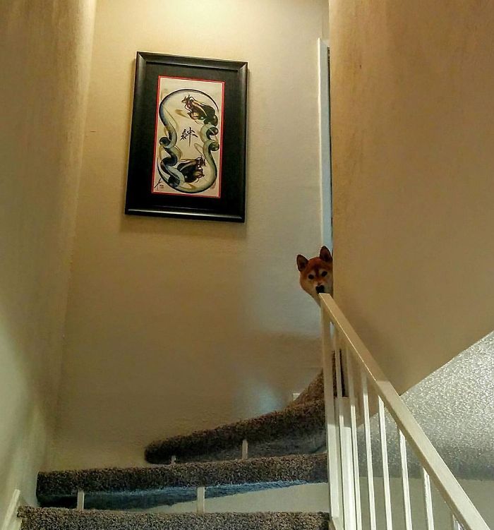 That Moment You Hear Someone Telling A Story About You, So You Listen To Make Sure It's All Truthful