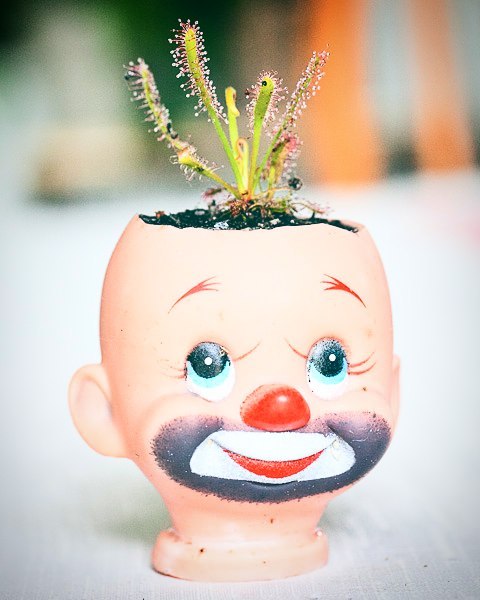 Creepy-Baby-Doll-Head-Planters