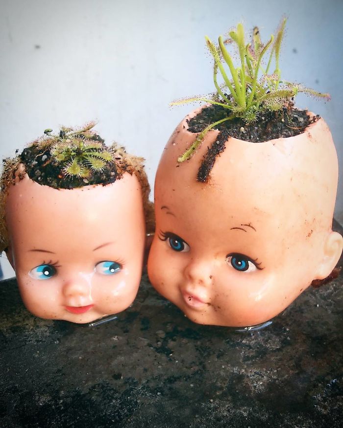 Creepy-Baby-Doll-Head-Planters