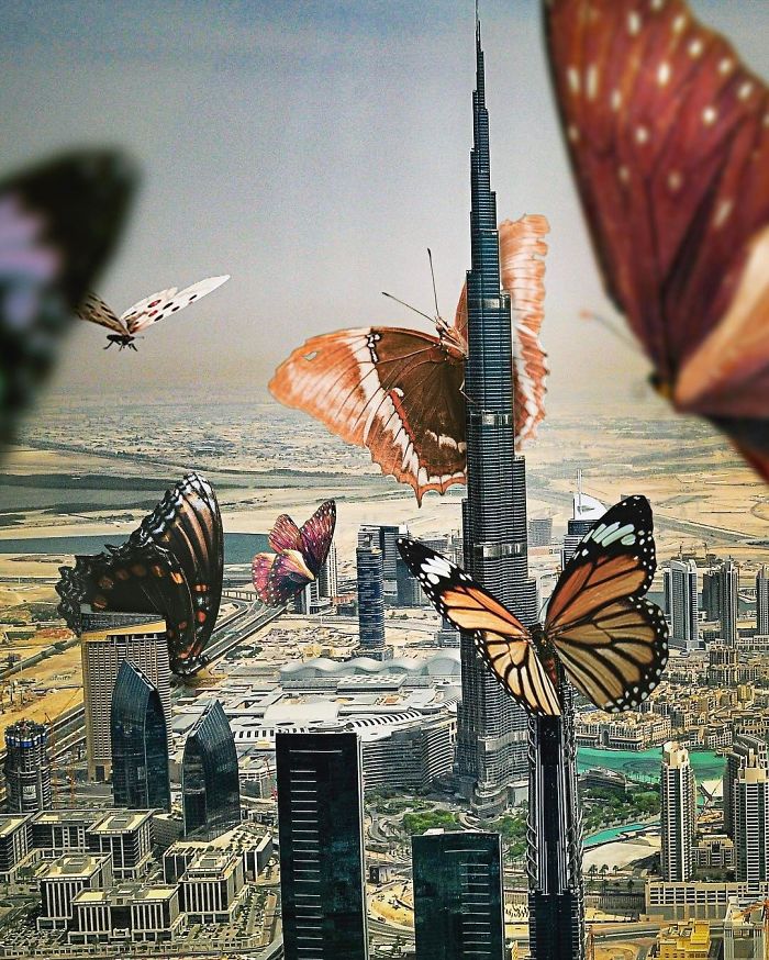 Surreal-Digital-Art-Saeed-Afkhamzadeh