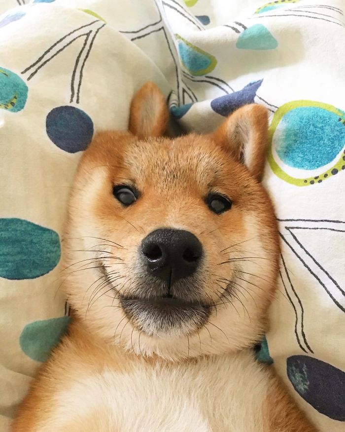 It Is Friday And My Body Knows It