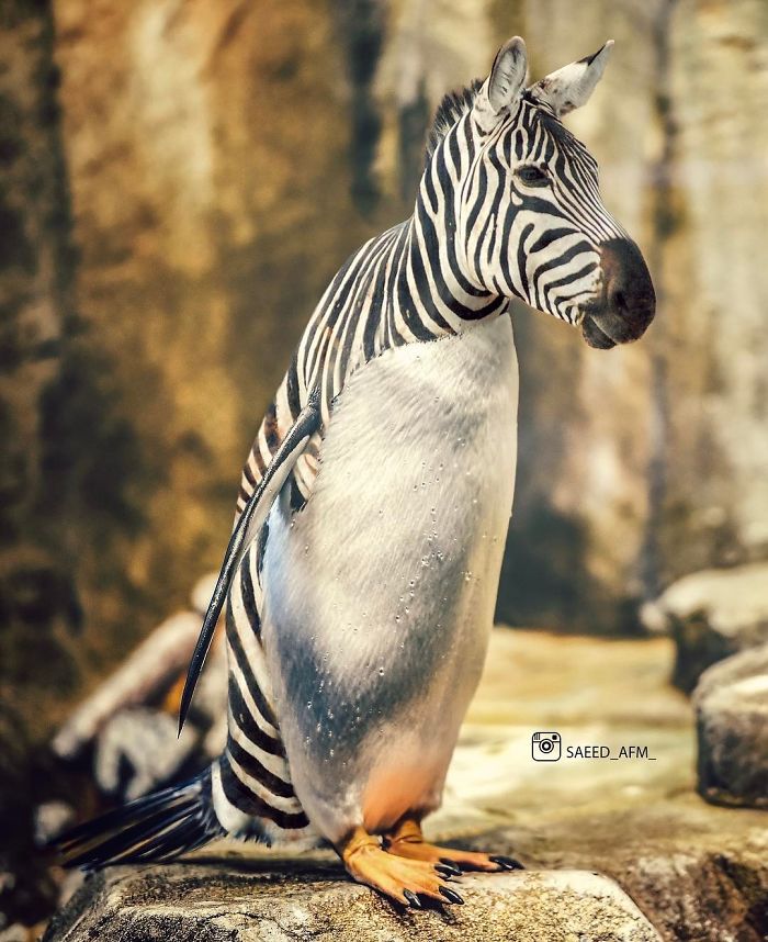 Surreal-Digital-Art-Saeed-Afkhamzadeh