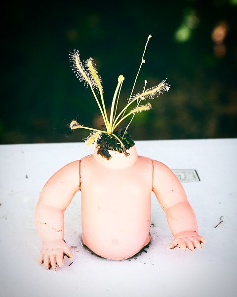 Creepy-Baby-Doll-Head-Planters