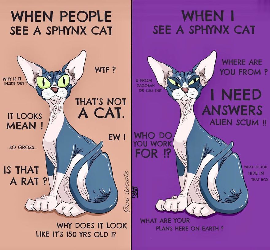 Fun-Girl-Comics-Ari-Stocrate