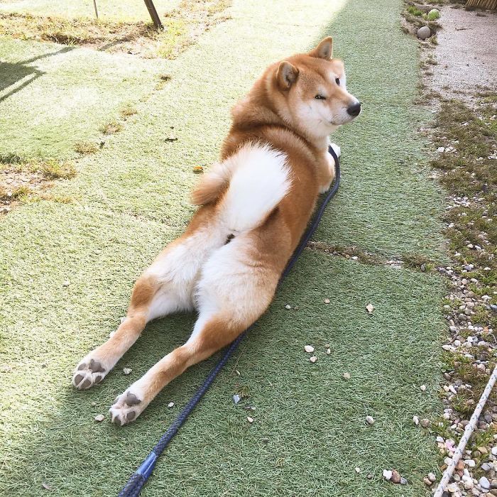 Draw Me Like One Of Your French Girls