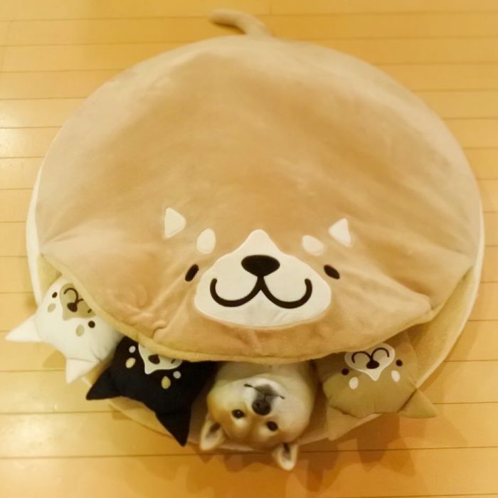 Why Wasn't I Invited To This Sleepover?