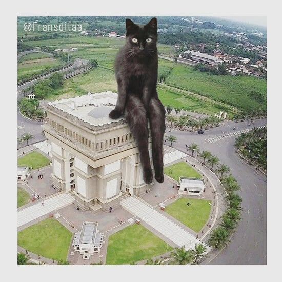 Giant Cat Edit