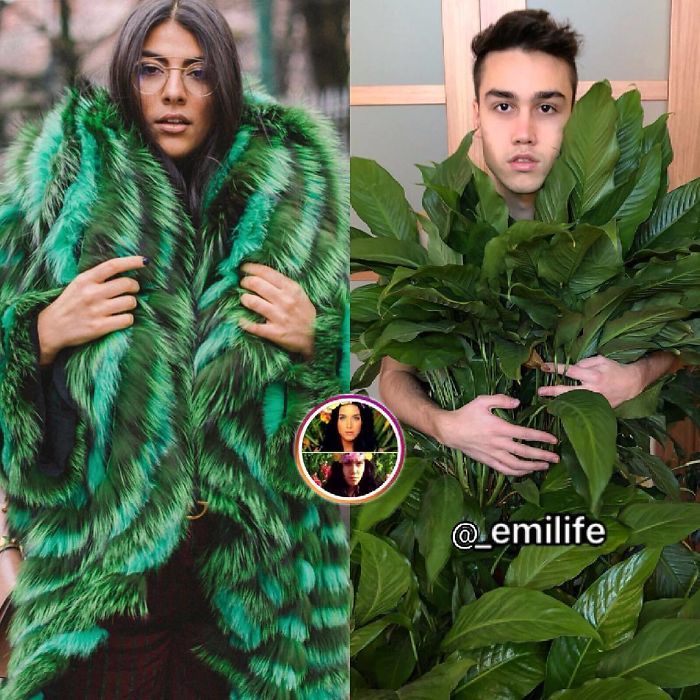 Emilife Celebrity Recreation