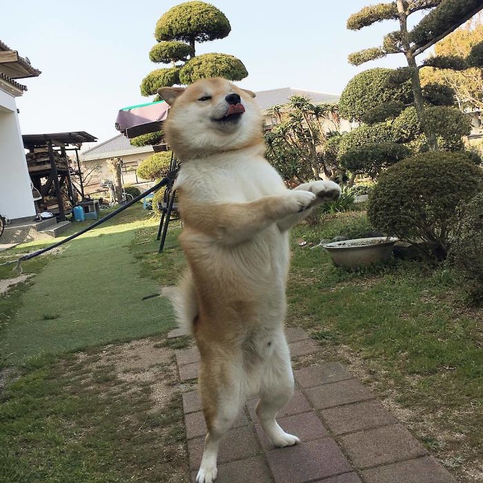 Drop It Like It's Hot