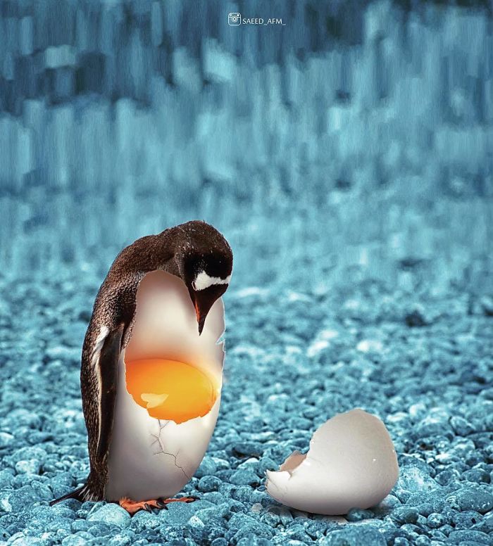 Surreal-Digital-Art-Saeed-Afkhamzadeh