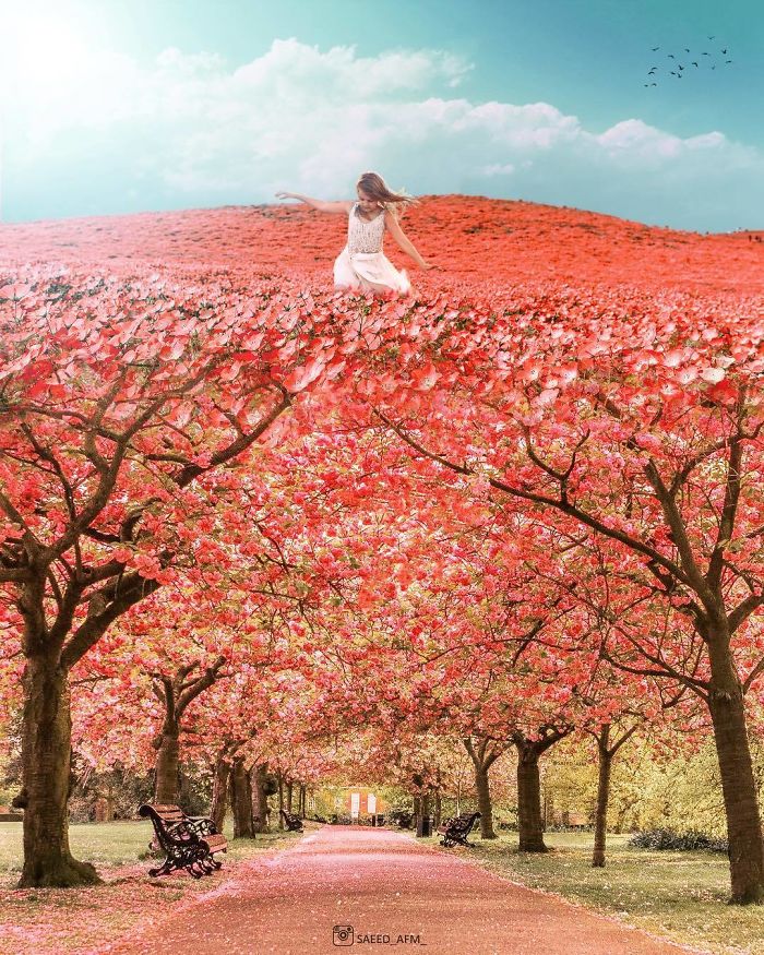 Surreal-Digital-Art-Saeed-Afkhamzadeh