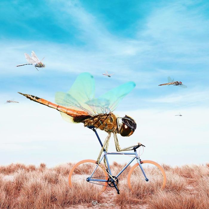 Surreal-Digital-Art-Saeed-Afkhamzadeh