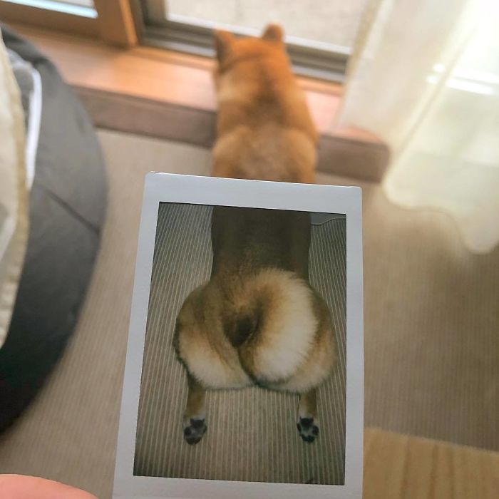 I Think We Have A Match