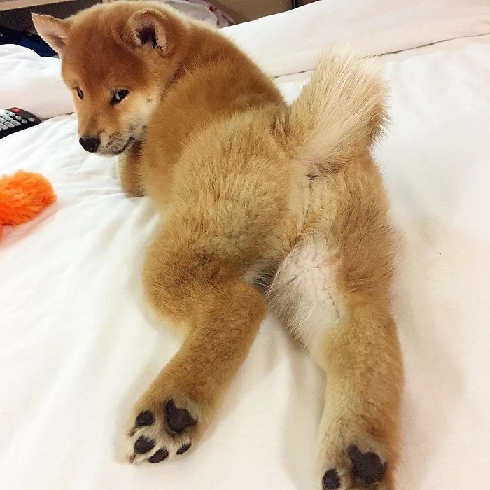 The Look On His Face