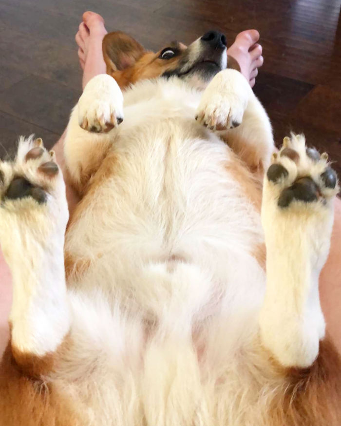 Yoooo Tomorrow Is Friday!