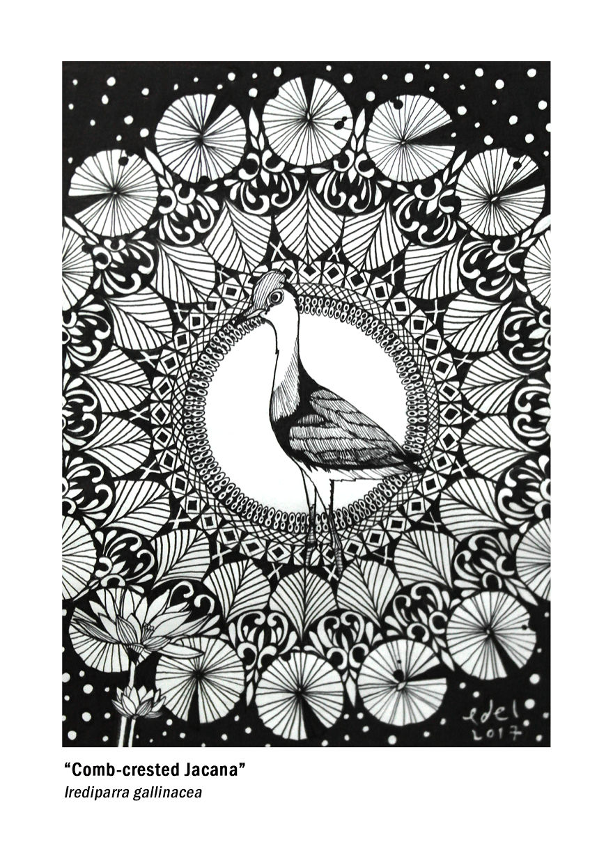 I Use Mandala Inspired Artworks To Promote Birds In The Philippines