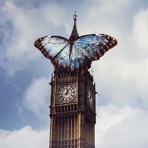 yourpalcelest avatar