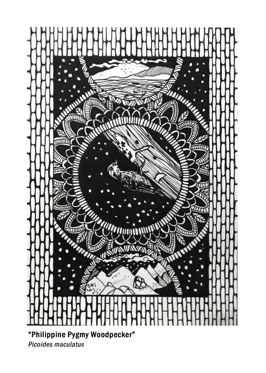 I Use Mandala Inspired Artworks To Promote Birds In The Philippines