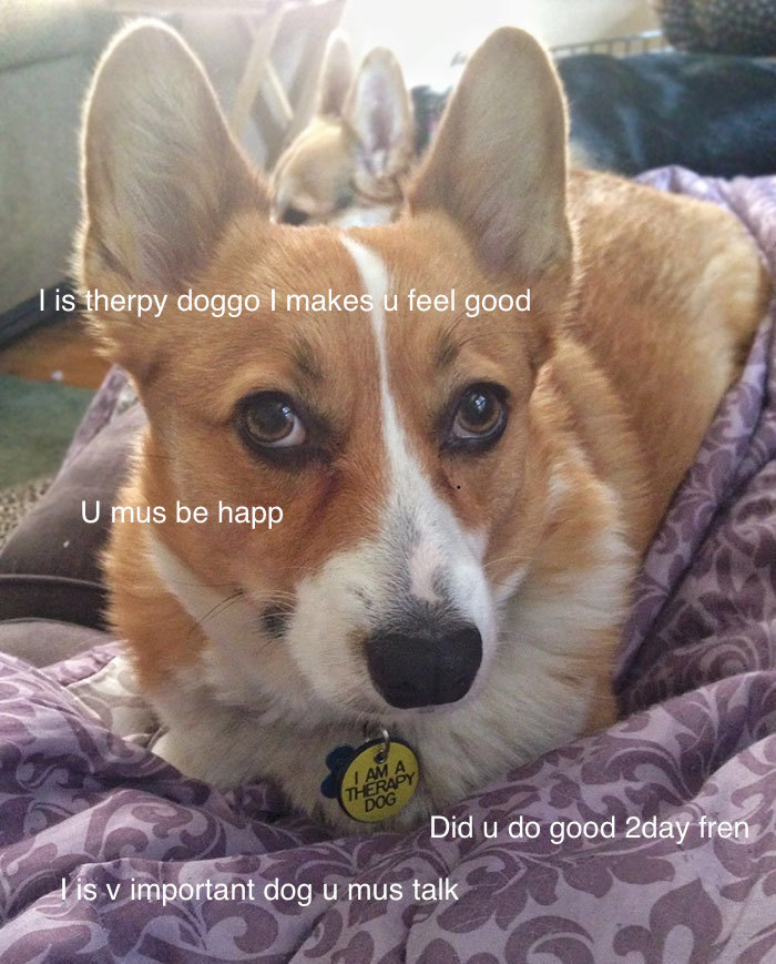 I Made These Pictures With The Sweet Dog Post And I Hope They'll Brighten Your Day