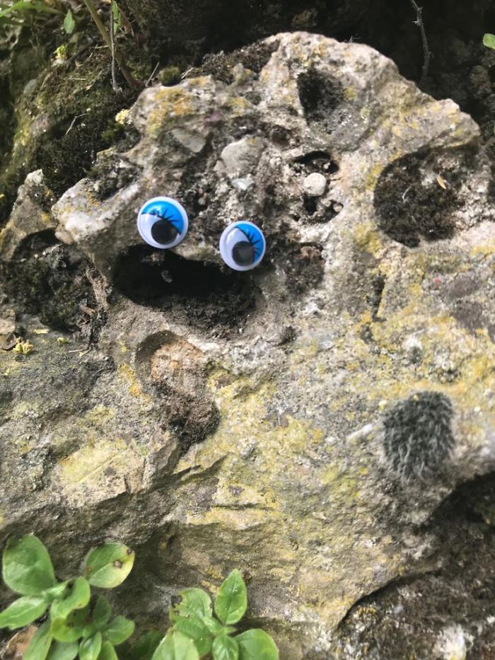 We Googly-Eyed Milan