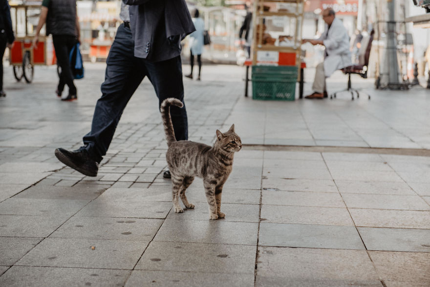 My Trip To Istanbul And Ankara My Trip To Istanbul And Ankara