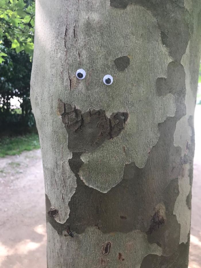 We Googly-Eyed Milan