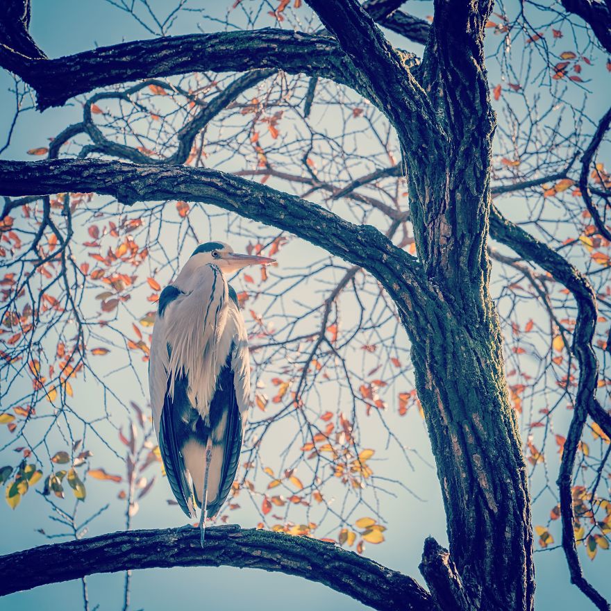 I Capture Seasonal Changes In Japanese Nature