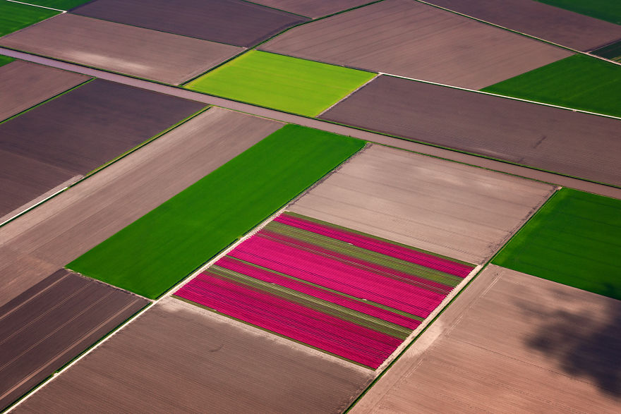 Does This Make You Think Of The Dutch Painter Piet Mondrian?