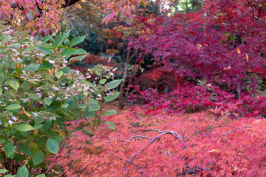 I Documented The Magical Autumn In Australia I Documented The Magical Autumn In Australia