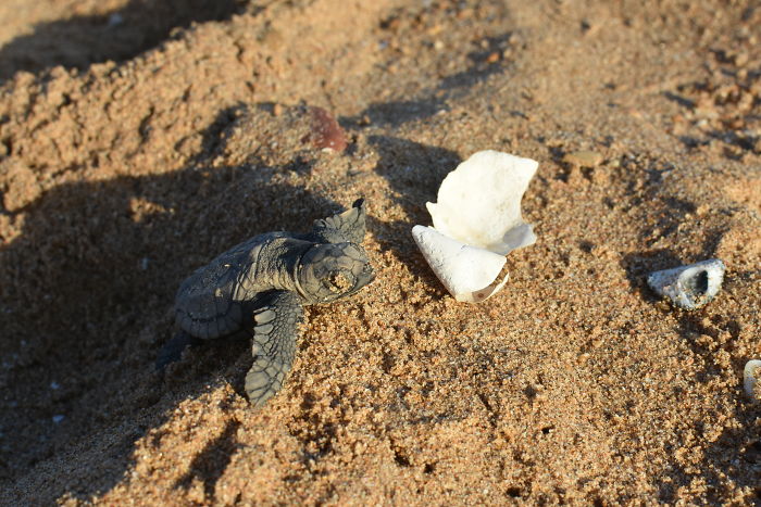 We Went To Australia For 22 Days And Surely We’ll Have To Go Back