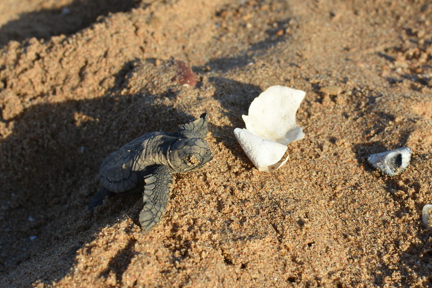 We Went To Australia For 22 Days And Surely We'll Have To Go Back