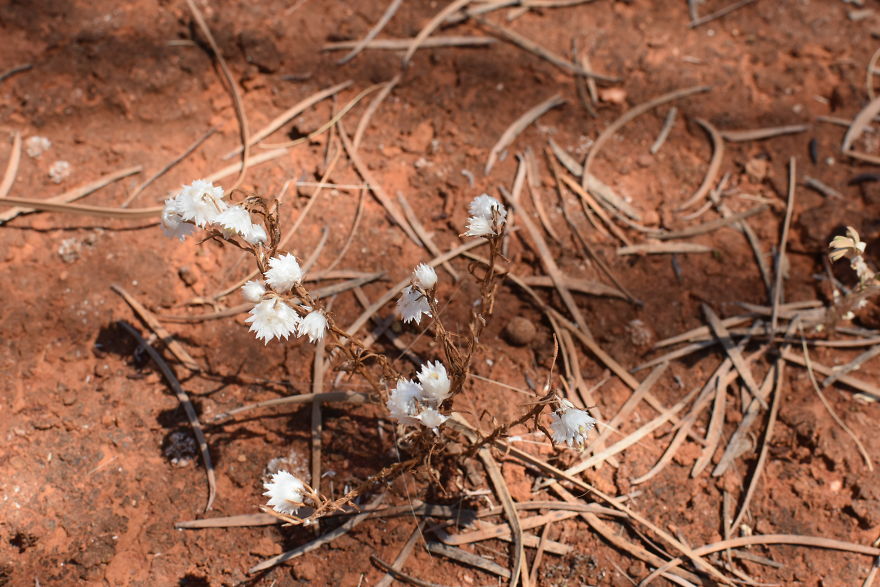 We Went To Australia For 22 Days And Surely We'll Have To Go Back We Went To Australia For 22 Days And Surely We'll Have To Go Back
