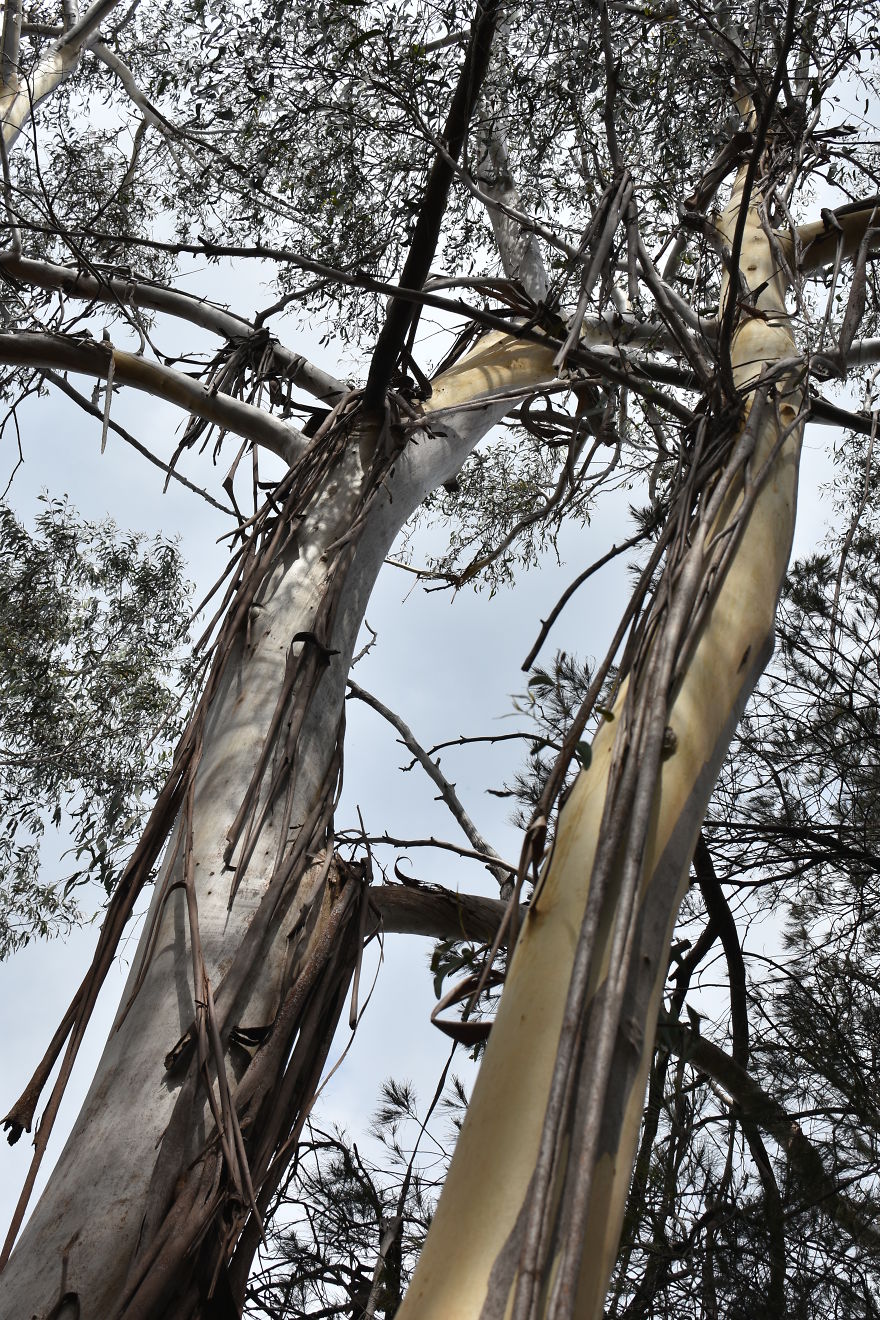 We Went To Australia For 22 Days And Surely We'll Have To Go Back We Went To Australia For 22 Days And Surely We'll Have To Go Back