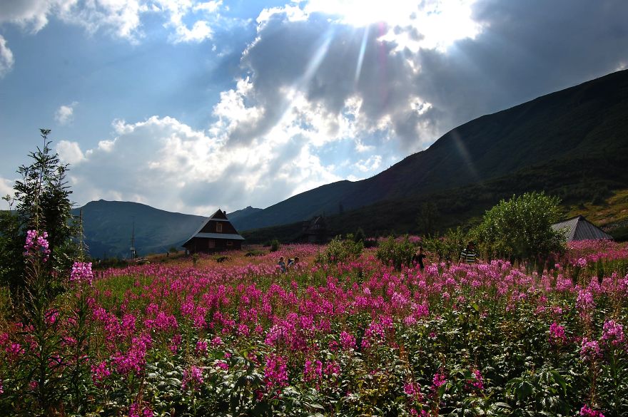 The Beauty Of Polish Mountains