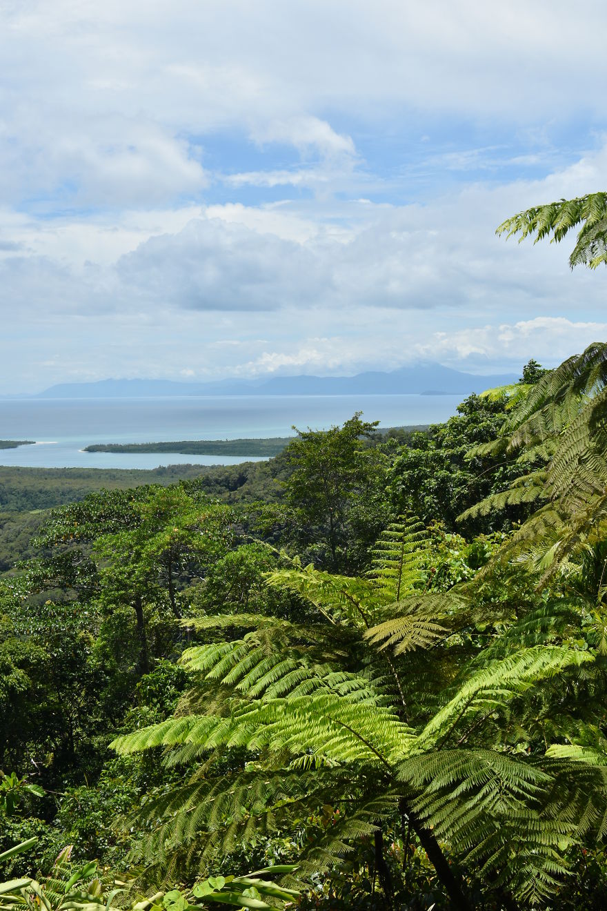 We Went To Australia For 22 Days And Surely We'll Have To Go Back