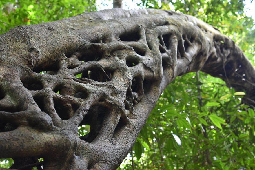 We Went To Australia For 22 Days And Surely We'll Have To Go Back