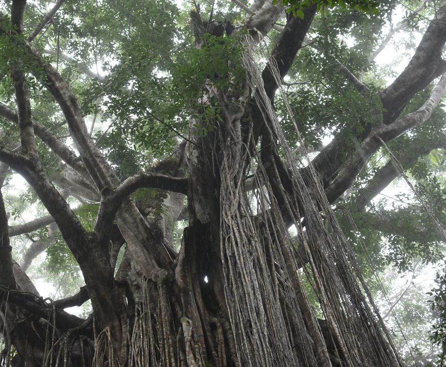 We Went To Australia For 22 Days And Surely We'll Have To Go Back