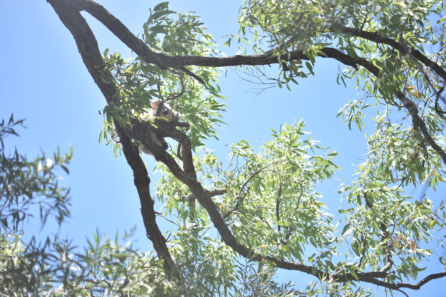 We Went To Australia For 22 Days And Surely We'll Have To Go Back We Went To Australia For 22 Days And Surely We'll Have To Go Back