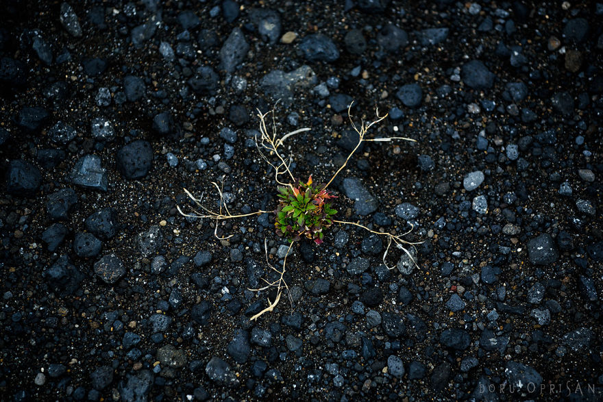 Exploring Planet Iceland Exploring Planet Iceland