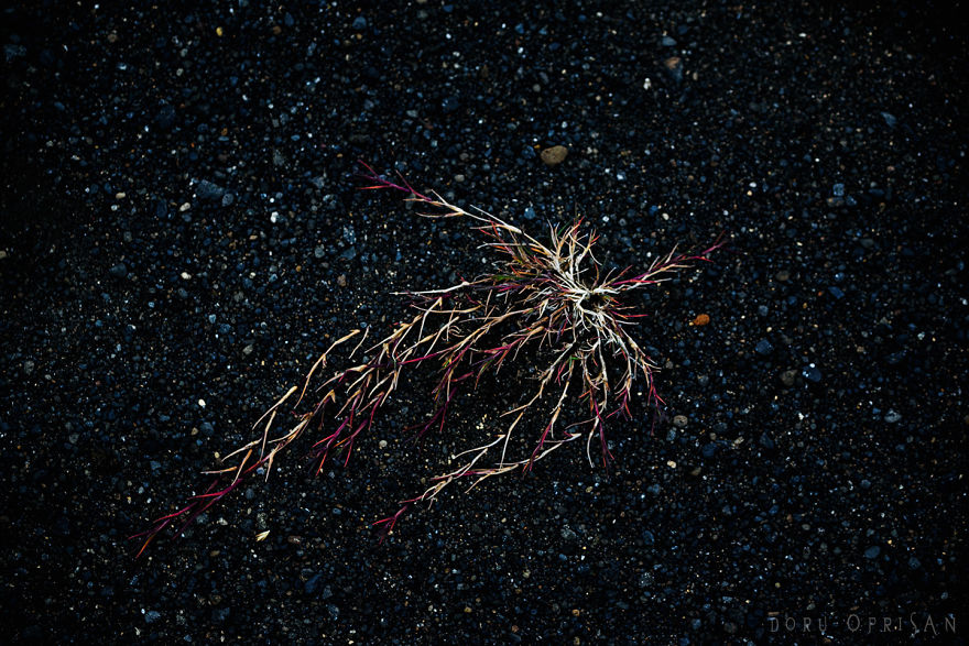 Exploring Planet Iceland Exploring Planet Iceland