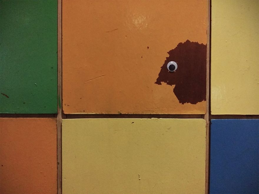 I Bring Bulgarian Streets To Life By Putting Googly Eyes On Random Objects (New Pics)